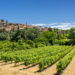 Les plus belles excursions à faire autour d'Aix-en-Provence en une journée