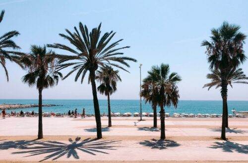 Barcelone en famille : 15 activités qui plairont aux enfants (et aux parents !)