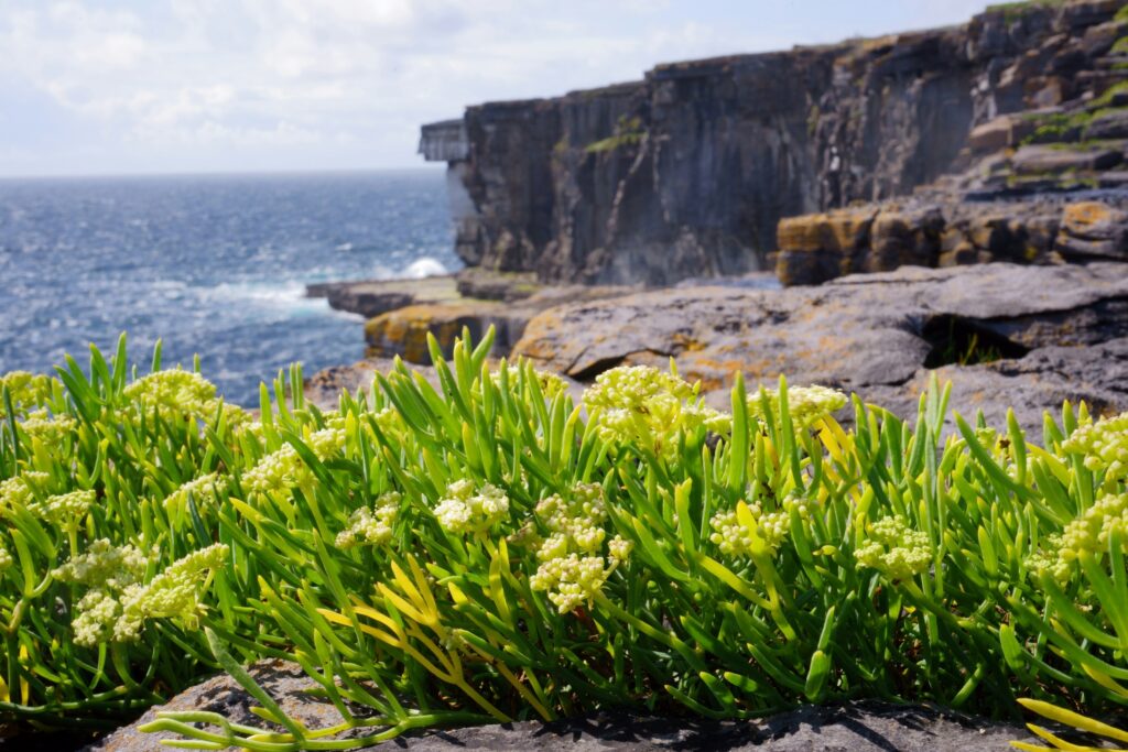 Les îles d'Aran : guide complet pour explorer ces joyaux de la côte irlandaise