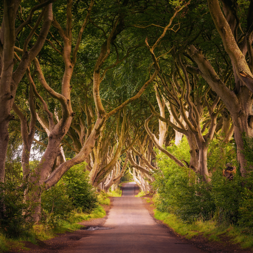 Game of Thrones en Irlande du Nord : circuit des lieux de tournage mythiques