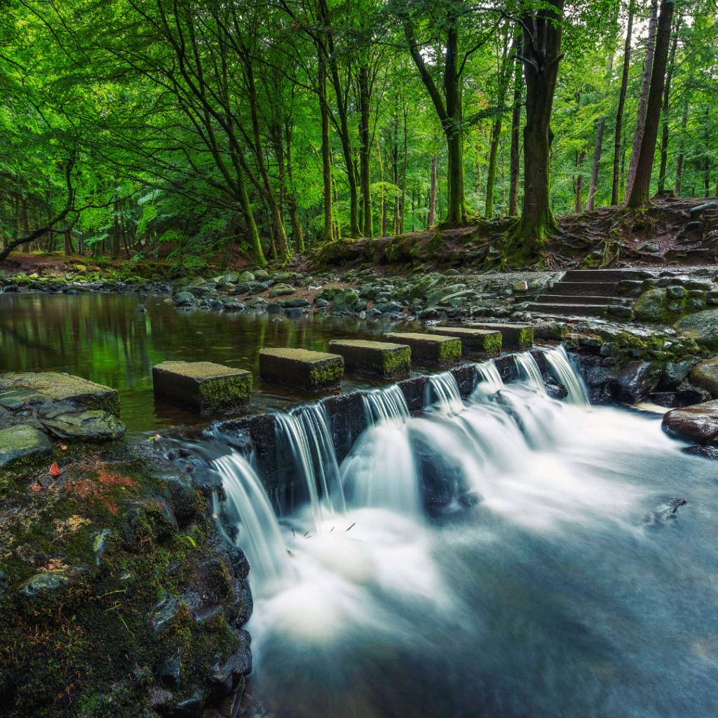 Game of Thrones en Irlande du Nord : circuit des lieux de tournage mythiques